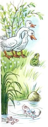 лягушка и гуси у озера