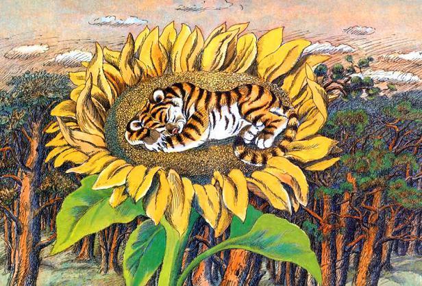  на подсолнухе спал тигрёнок