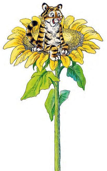 Сказка про тигрёнка на подсолнухе