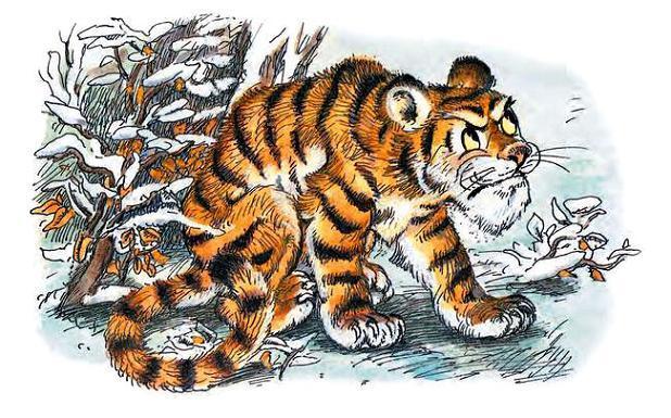 тигренок на снегу