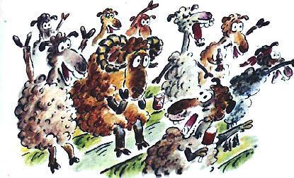 Сказка с подробностями овцы