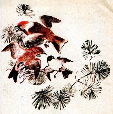 Чей нос лучше (рассказ) Все птицы так и шарахнулись от него