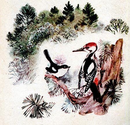 Чей нос лучше (рассказ) Дятел-долбонос