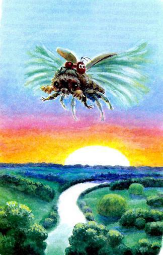 муравьишка верхом на Майском Хруще спешит домой