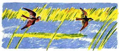 Лесные домишки (сказка) птицы над рекой