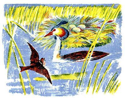 Лесные домишки (сказка) На траве лежат Чёмгины яйца, прикрытые лёгкими сухими тростиночками.