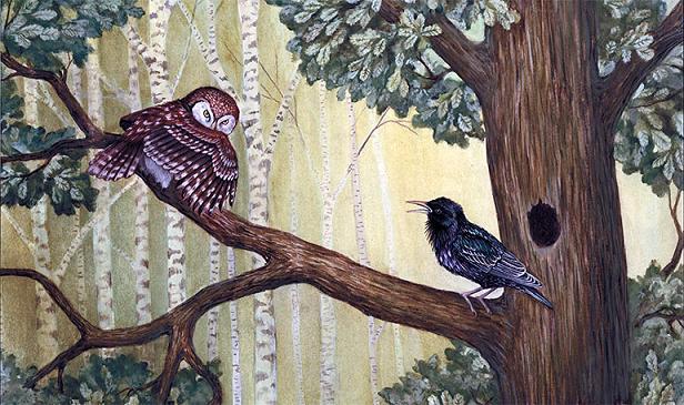 сыч и скворец