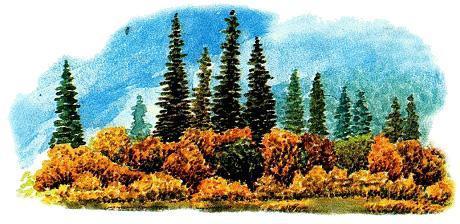 Сказки зверолова: Водяной конь (сказка) лес