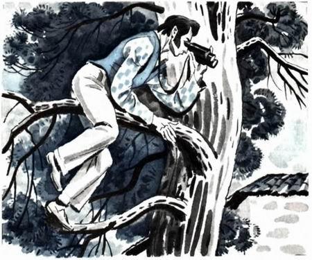 Сказочное наказание (повесть) подсматривает в бинокль сидя на дереве