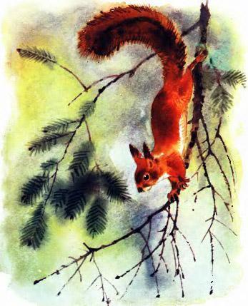 белка на ветке