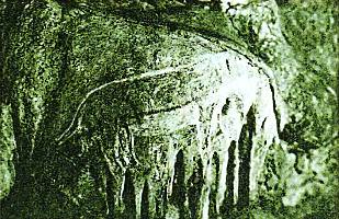 Так первобытный скульптор на стене пещеры изобразил мамонта.