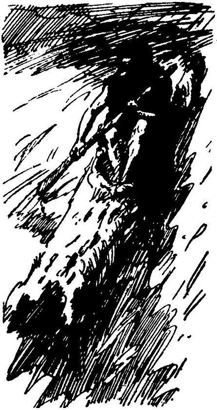 След за кормой След за кормой