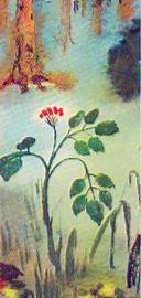 Смерть жадного богача