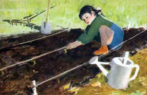 девочка Танюша сажает смородину натягивает веревочку