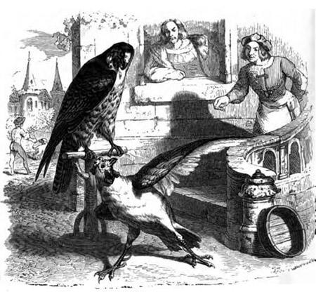 Сокол и Каплун