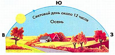 Зимой в Центральной Европе Солнце поздно восходит на юго-востоке, достигает небольшой высоты и рано заходит на юго-западе.