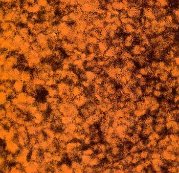 Поверхность Солнца имеет зернистую структуру, которую называют грануляцией.