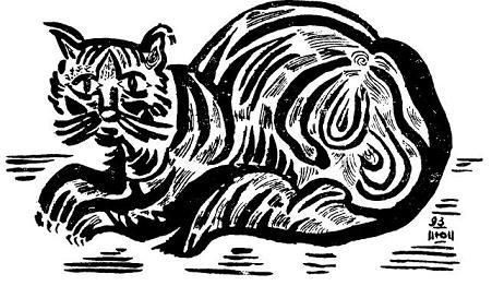 Солнечное пятно