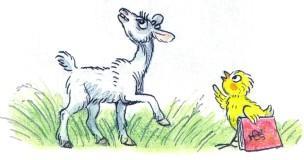 козленок  и цыпленок звери домашние животные