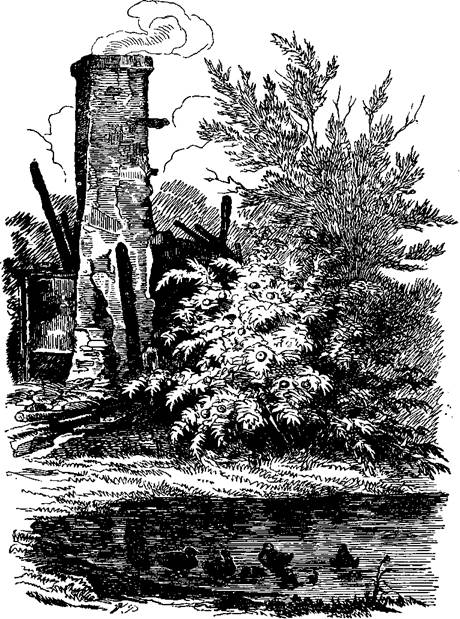 пепелище сгорел дом