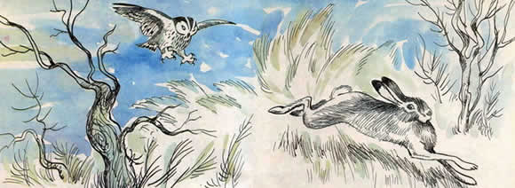 Сова и заяц (басня) Сова и заяц