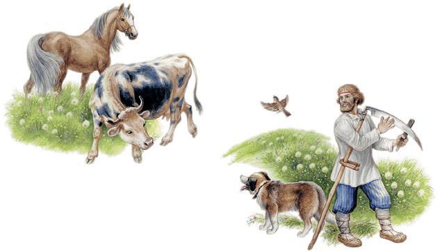 Спор животных