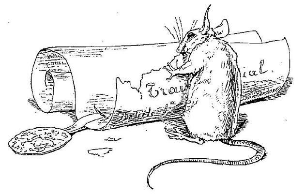 Ссора собак с кошками и кошек с мышами