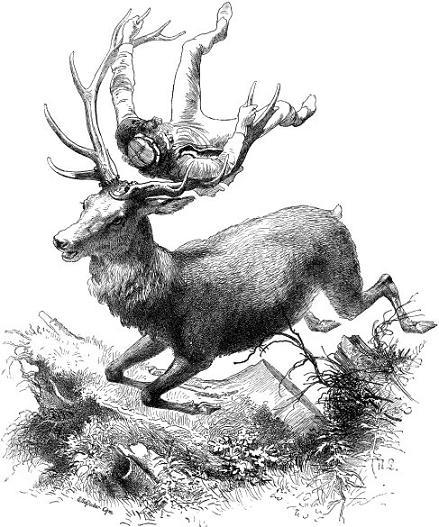 Стеклянный гроб (сказка) Стеклянный гроб