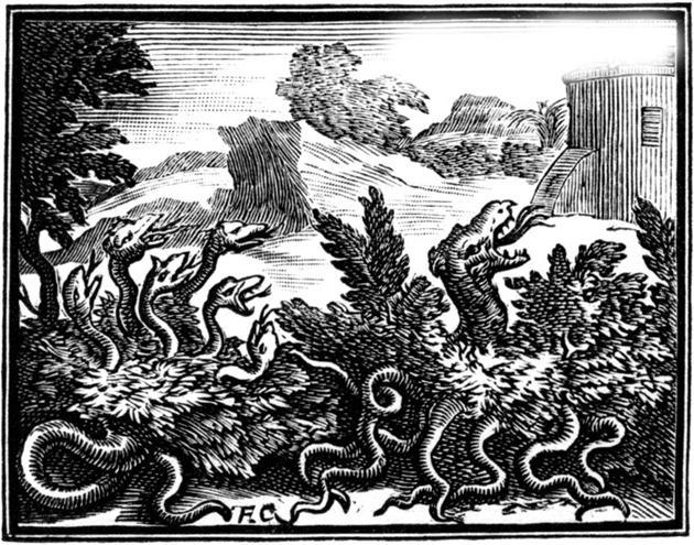 Стоглавый и стохвостый драконы