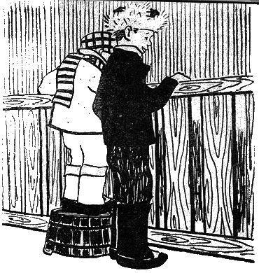 Сторожки из свиной щетинки