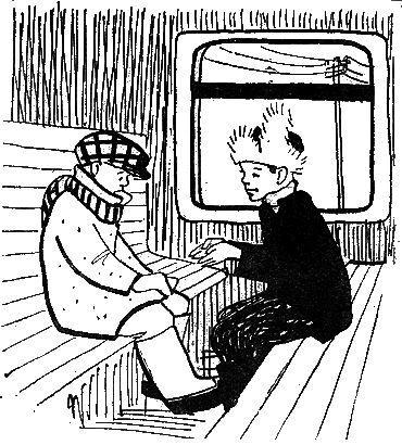 Сторожки из свиной щетинки