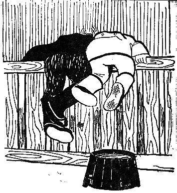 Сторожки из свиной щетинки