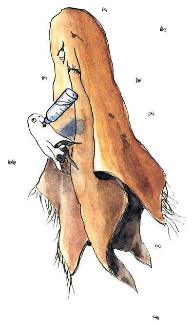 Страшилка Стелла и школа привидений