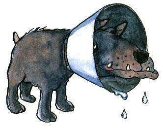 Страшилка Стелла и школа привидений (повесть) Страшилка Стелла и школа привидений