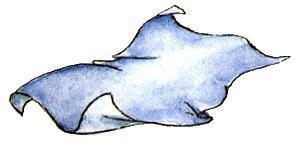 Страшилка Стелла и школа привидений