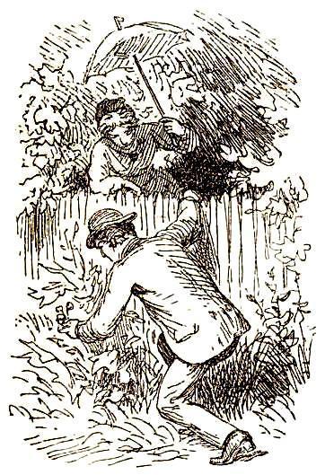 Судьба репейника (сказка) Судьба репейника люди