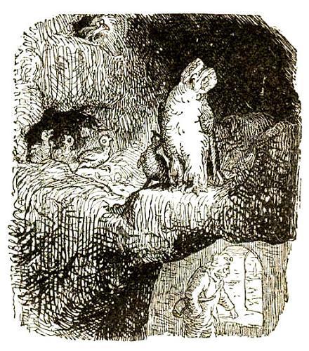 Суп из колбасной палочки (сказка) филин сова