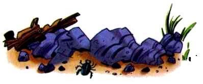 Сурикаты-сумасброды. Невероятно смешные приключения в пустыне (сказка) Сурикаты-сумасброды. Невероятно смешные приключения в пустыне