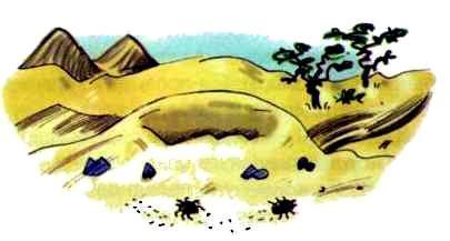 Сурикаты-сумасброды. Невероятно смешные приключения в пустыне (сказка) Сурикаты-сумасброды. Невероятно смешные приключения в пустыне