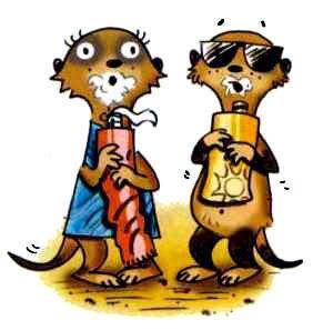 Сурикаты-сумасброды. Невероятно смешные приключения в пустыне (сказка) Сурикаты-сумасброды. Невероятно смешные приключения в пустыне