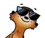 Сурикаты-сумасброды. Невероятно смешные приключения в пустыне (сказка) Сурикаты-сумасброды. Невероятно смешные приключения в пустыне