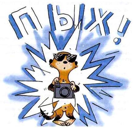 Сурикаты-сумасброды. Невероятно смешные приключения в пустыне (сказка) Сурикаты-сумасброды. Невероятно смешные приключения в пустыне