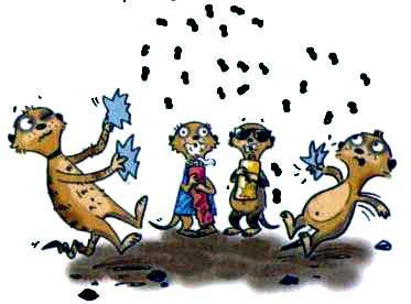 Сурикаты-сумасброды. Невероятно смешные приключения в пустыне