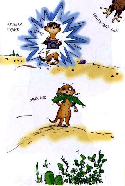 Сурикаты-сумасброды. Невероятно смешные приключения в пустыне