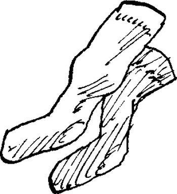 Сюрприз (рассказ) Сюрприз