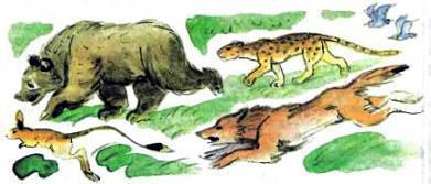 звери бегут