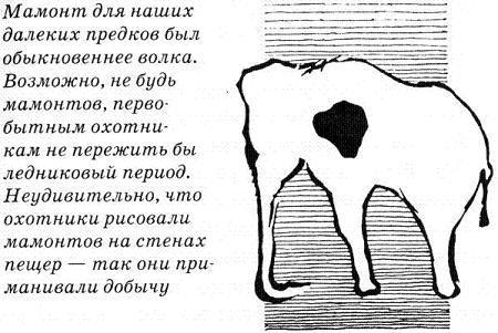 Тайны древнего мира Тайны древнего мира