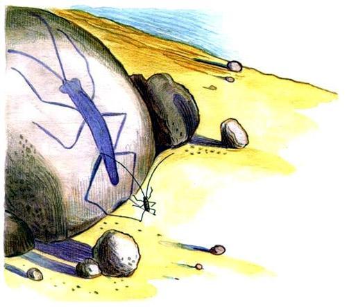 Тараканище (стих Корнея Чуковского) Тараканище таракан тень на камне