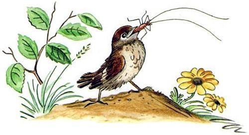 Тараканище (стих Корнея Чуковского) Тараканище воробей клюнул таракана съел