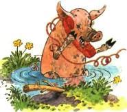 свинья разговаривает по телефону